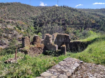 Quinta T
           para Venda em Fermedo