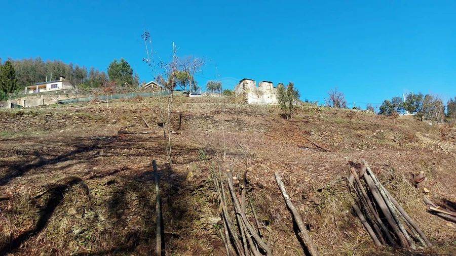 Quinta T
           para Venda em Fermedo Foto 12