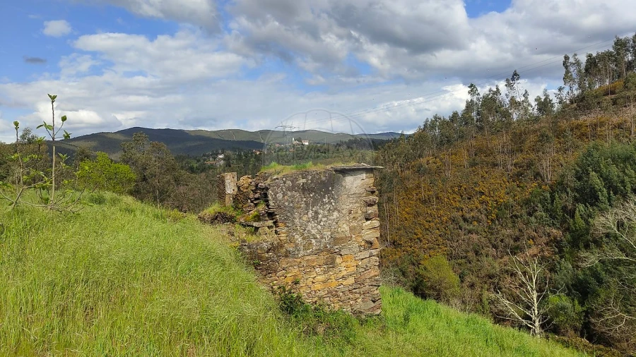 Quinta T
           para Venda em Fermedo Foto 29