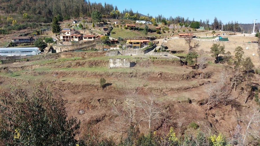Quinta T
           para Venda em Fermedo Foto 3