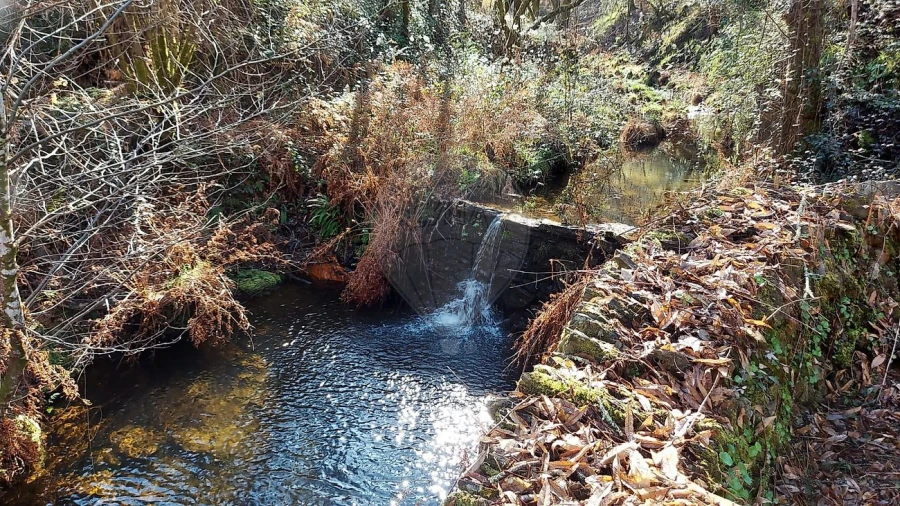 Quinta T
           para Venda em Fermedo Foto 17