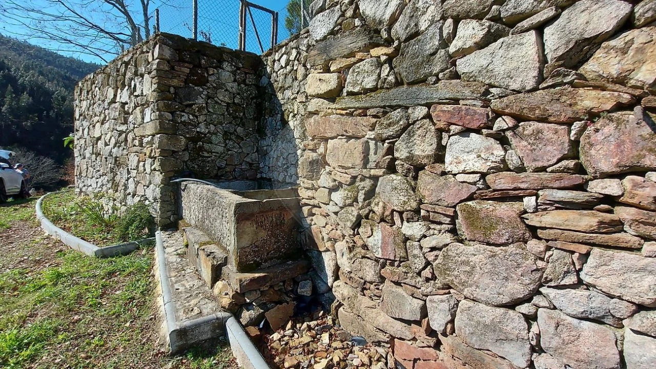 Quinta T
           para Venda em Fermedo Foto 28