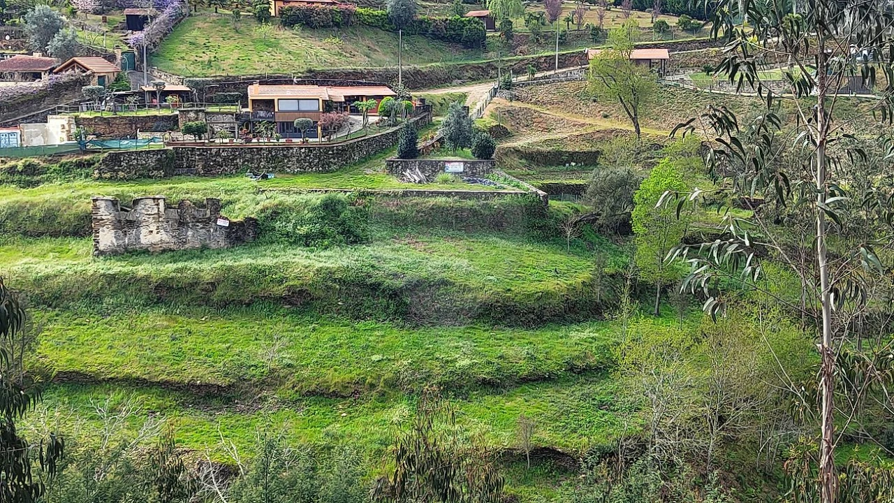 Quinta T
           para Venda em Fermedo Foto 32