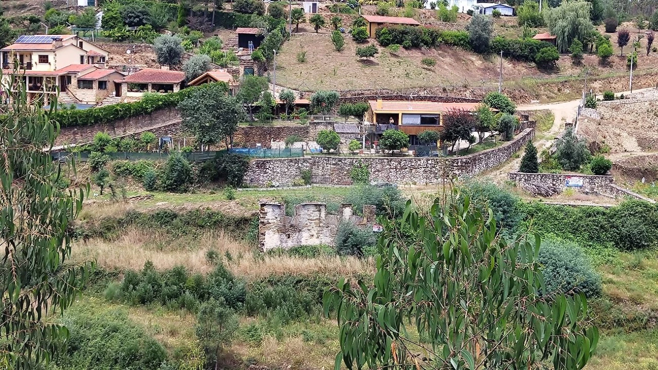 Quinta T
           para Venda em Fermedo Foto 6