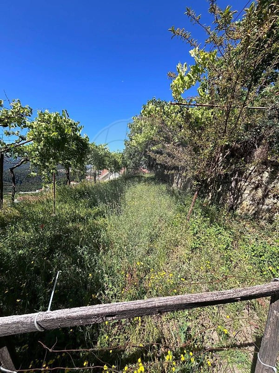 Moradia T6 para Venda em Roge Foto 12