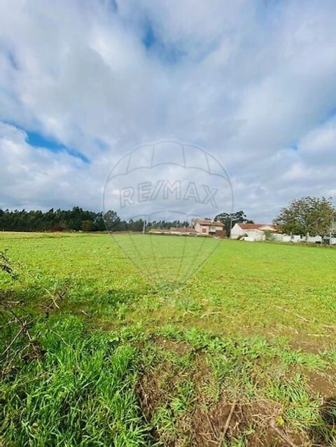 Terreno para Venda em Loureiro