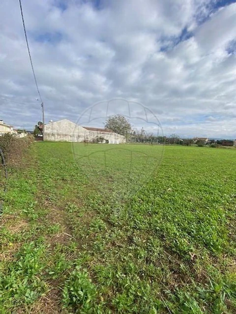 Terreno para Venda em Loureiro