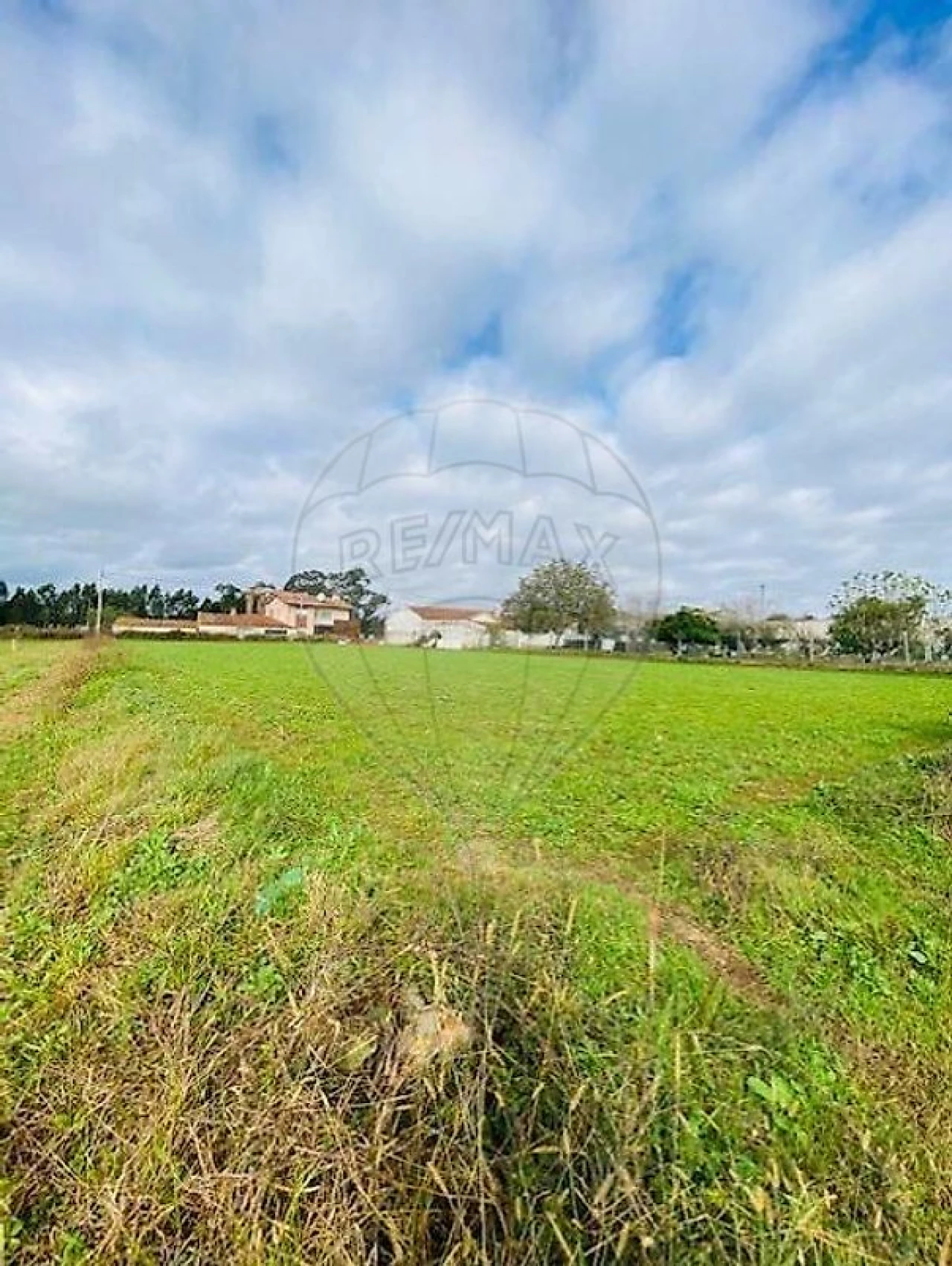 Terreno para Venda em Loureiro Foto 1