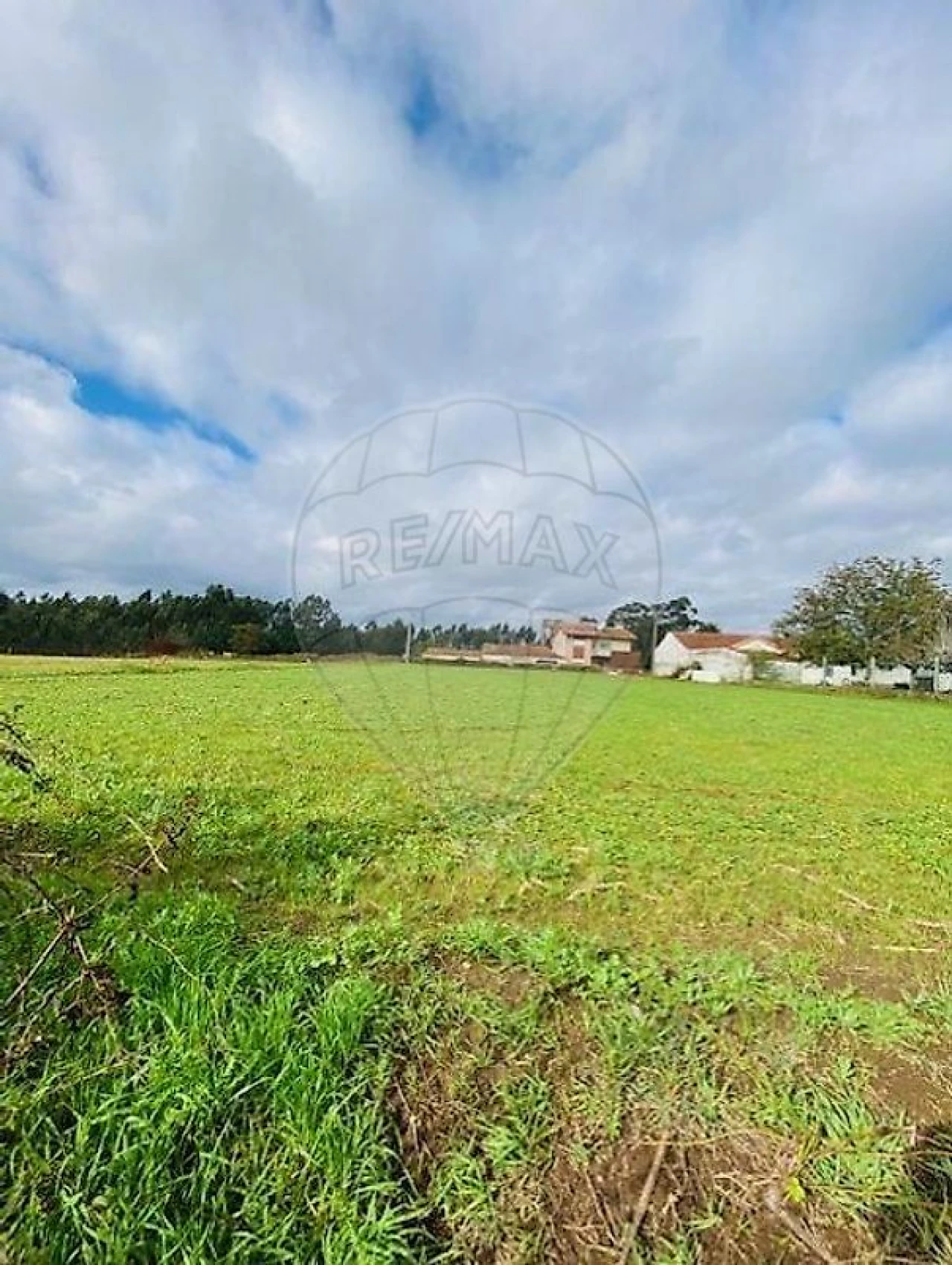 Terreno para Venda em Loureiro Foto 3