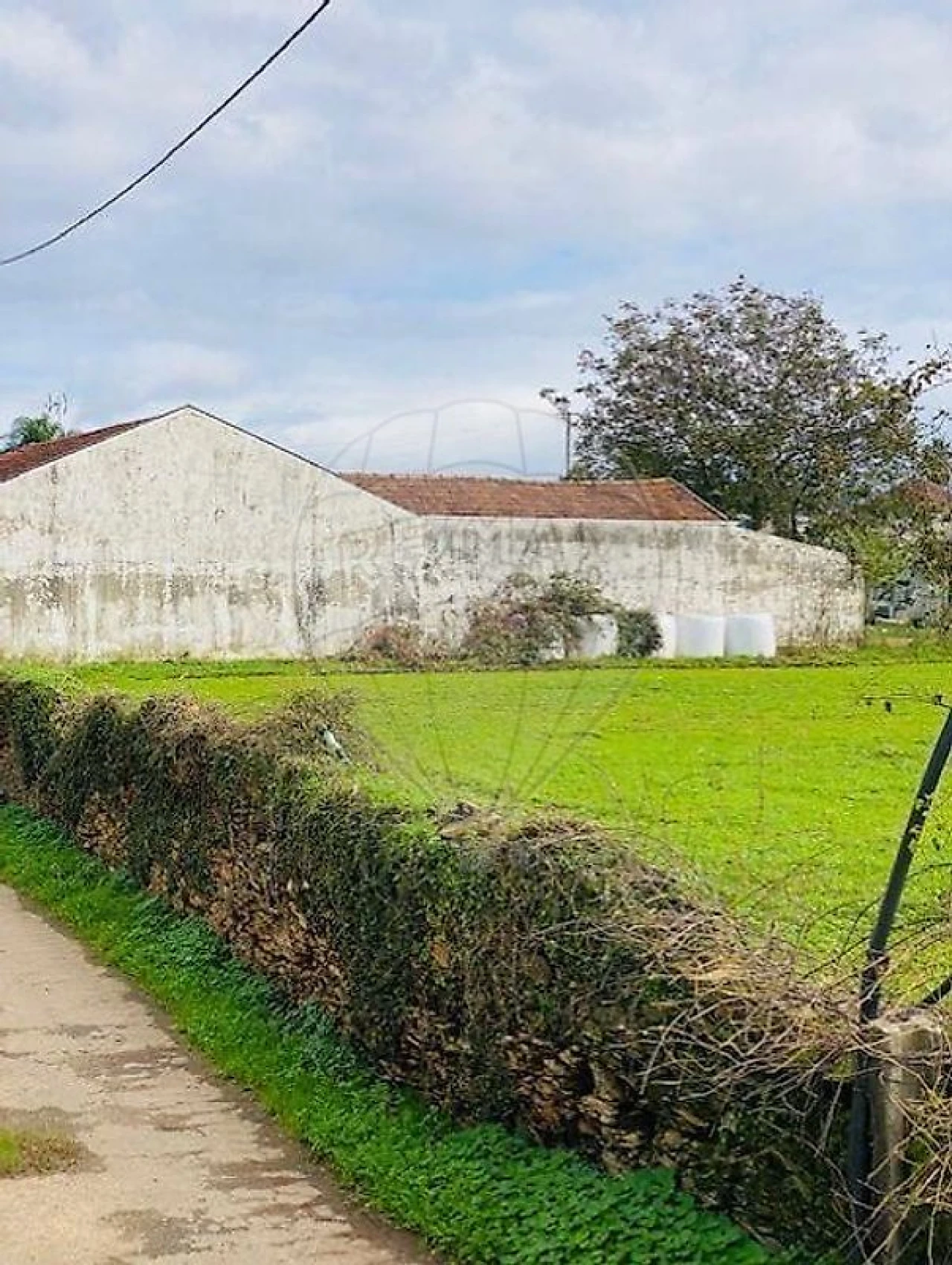 Terreno para Venda em Loureiro Foto 2