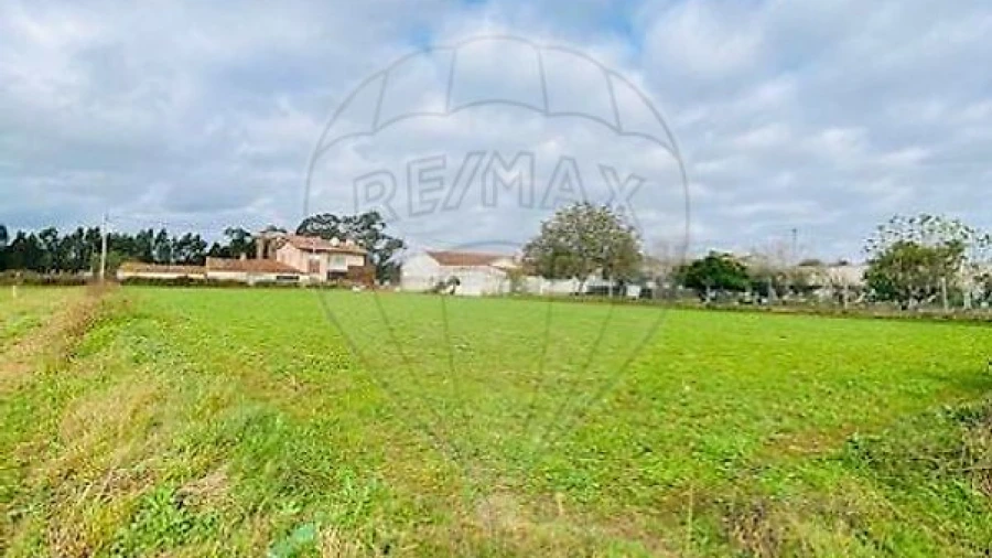 Terreno para Venda em Loureiro