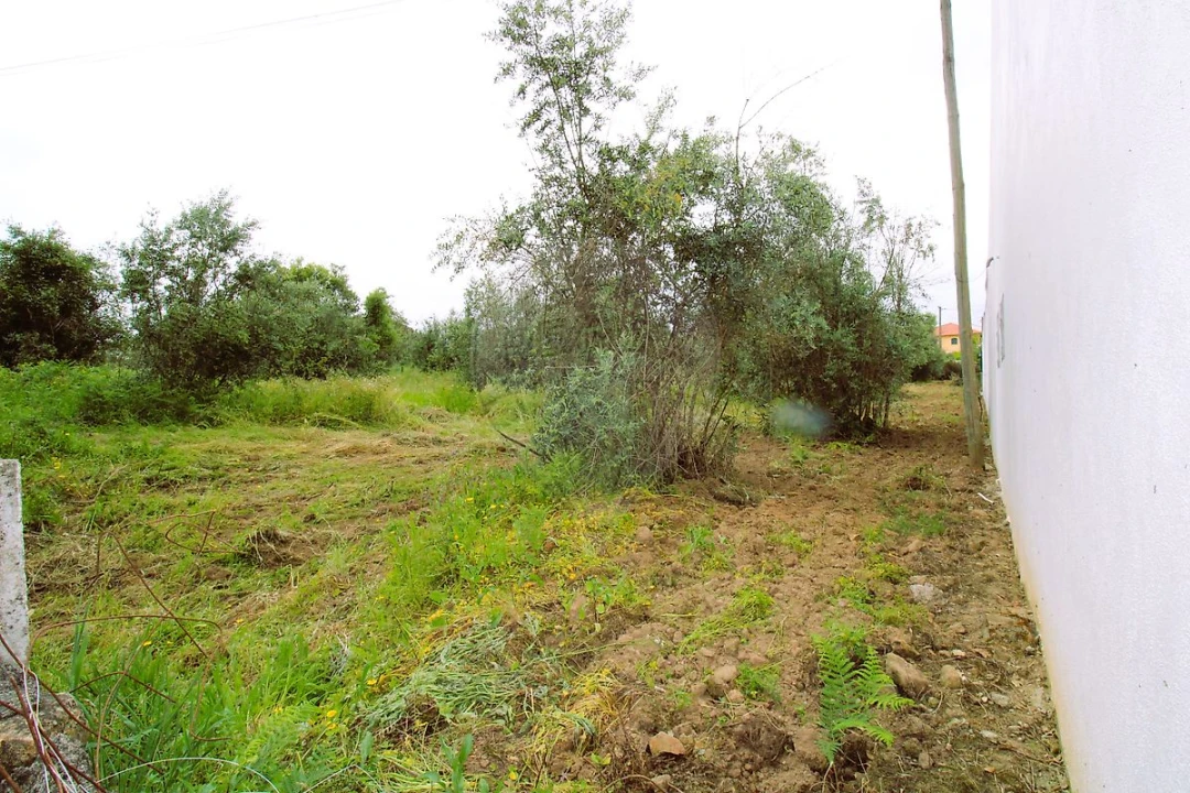 Terreno para Venda em Mação, Penhascoso e Aboboreira Foto 3