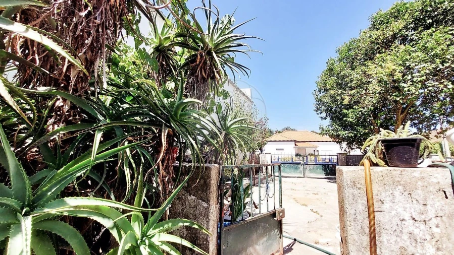 Moradia T2 para Venda em Rio Maior Foto 16