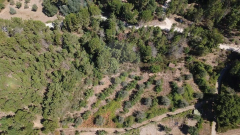 Terreno para Venda em Midões