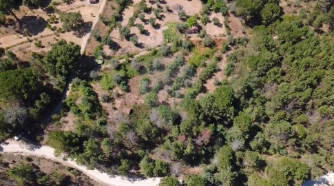 Terreno para Venda em Midões