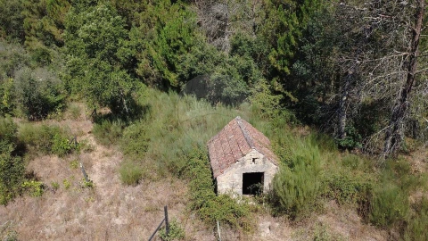 Terreno para Venda em Midões
