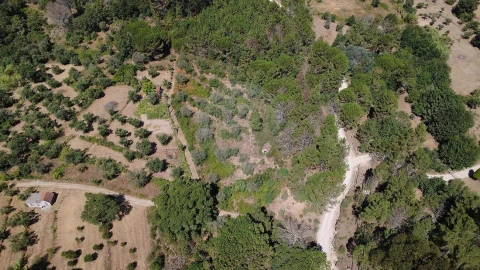 Terreno para Venda em Midões