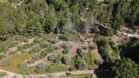 Terreno para Venda em Midões