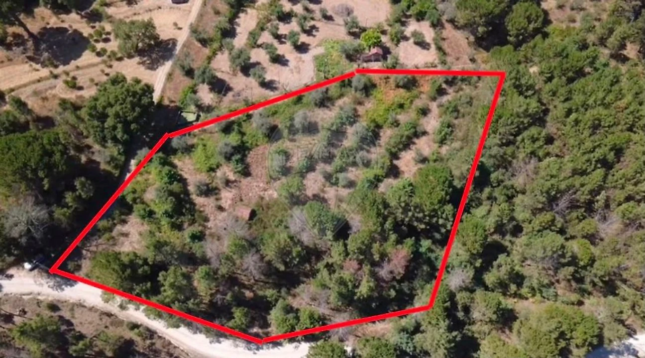 Terreno para Venda em Midões Foto 7