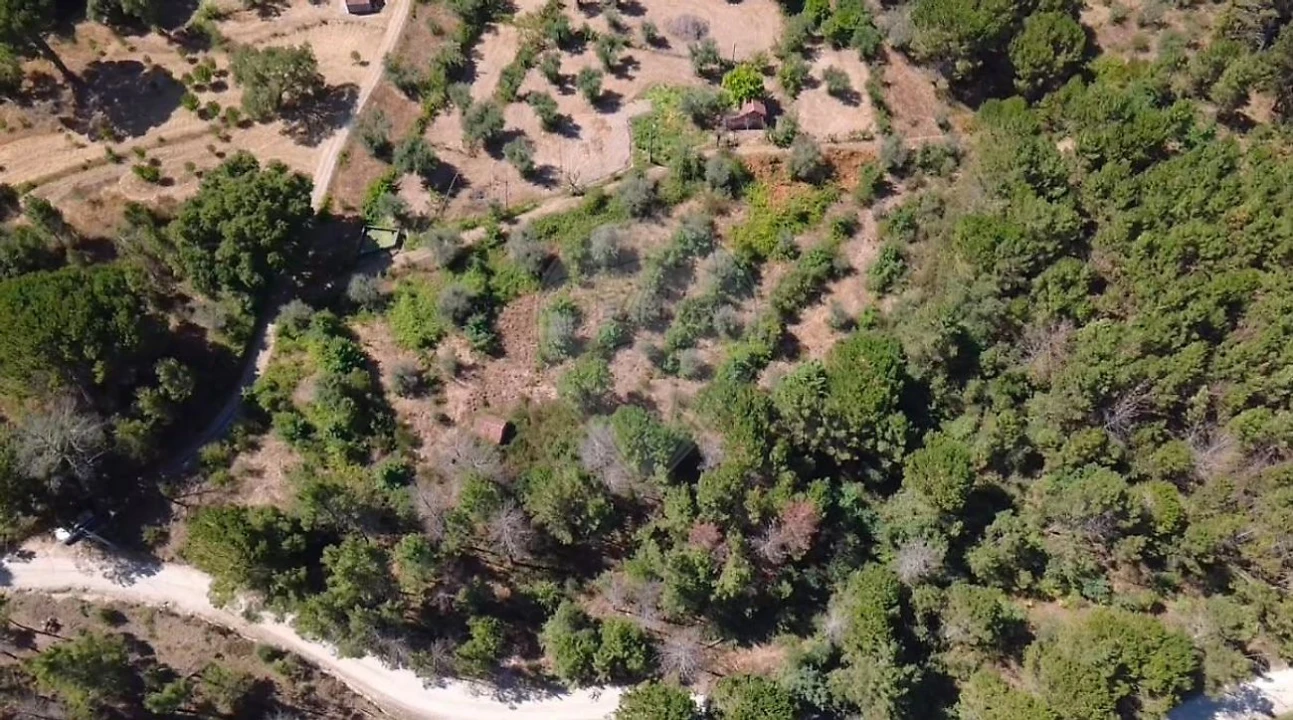 Terreno para Venda em Midões Foto 8