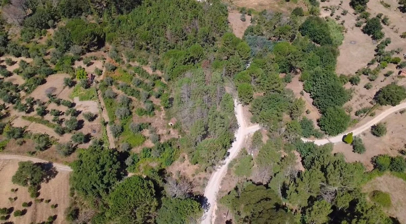 Terreno para Venda em Midões Foto 6