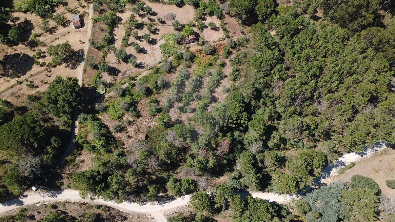 Terreno para Venda em Midões Foto 9