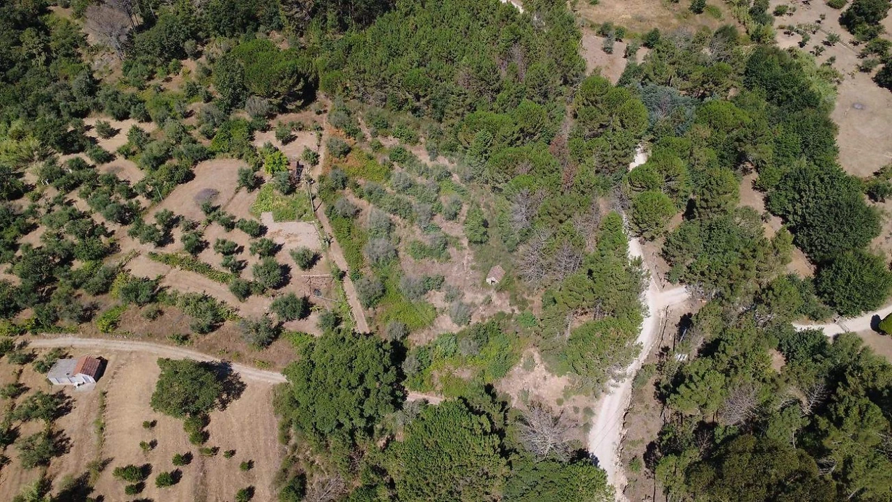 Terreno para Venda em Midões Foto 1