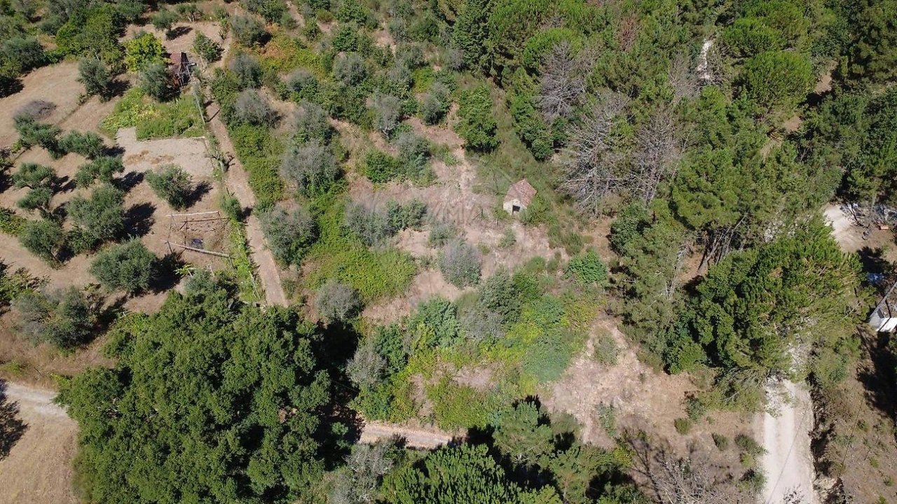 Terreno para Venda em Midões Foto 3
