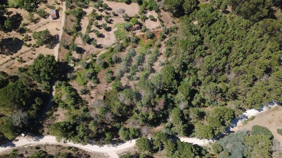 Terreno para Venda em Midões