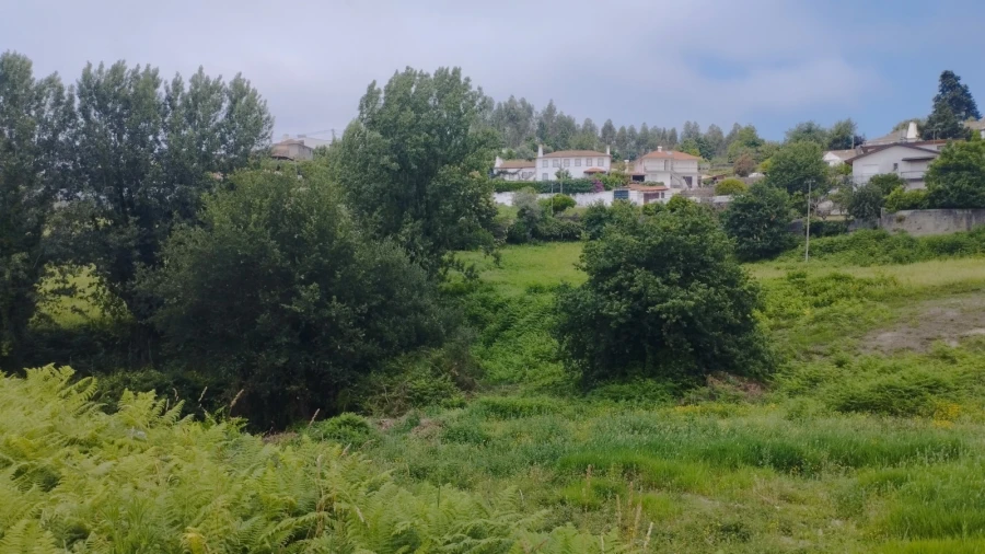 Terreno para Venda em O. Azeméis, Riba-Ul, Ul, Macinhata Seixa, Madail Foto 10