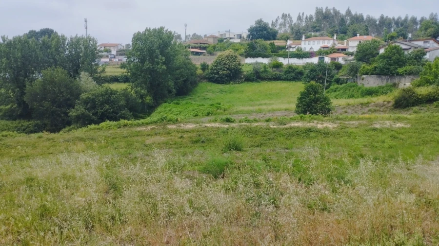 Terreno para Venda em O. Azeméis, Riba-Ul, Ul, Macinhata Seixa, Madail Foto 5