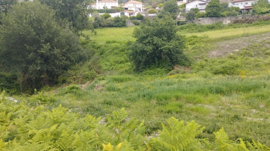 Terreno para Venda em O. Azeméis, Riba-Ul, Ul, Macinhata Seixa, Madail Foto 8