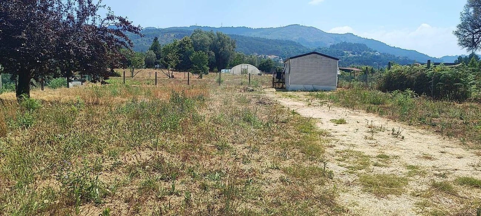 Terreno para Venda em Ponte Foto 13