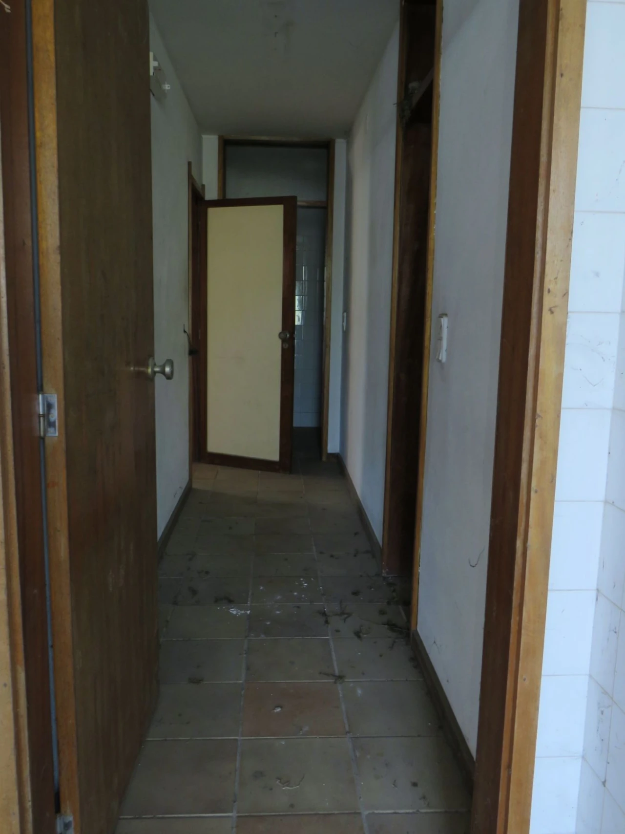Negócio para Venda em Santa Maria Maior Foto 32