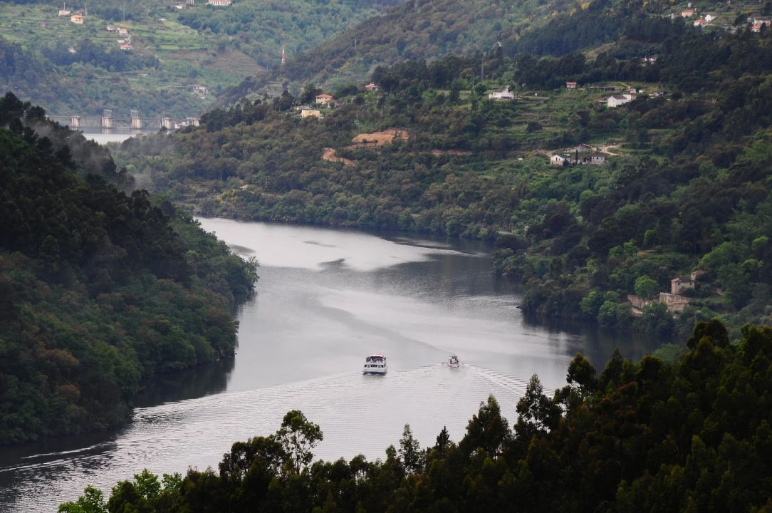 Moradia T11 para Venda em Baião (Santa Leocádia) e Mesquinhata Foto 4