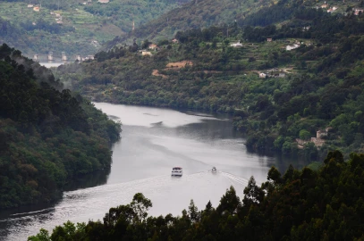 Moradia T11 para Venda em Baião (Santa Leocádia) e Mesquinhata