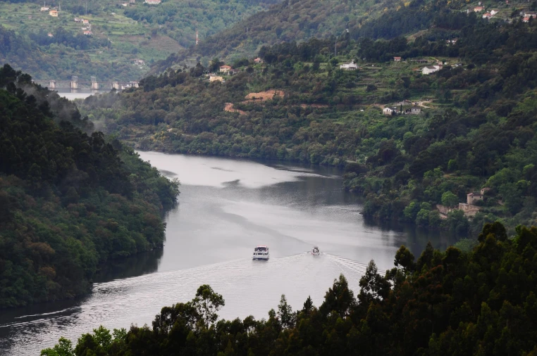 Moradia T11 para Venda em Baião (Santa Leocádia) e Mesquinhata Foto 4