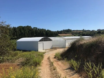 Moradia T4 para Venda em Gesteira e Brunhós