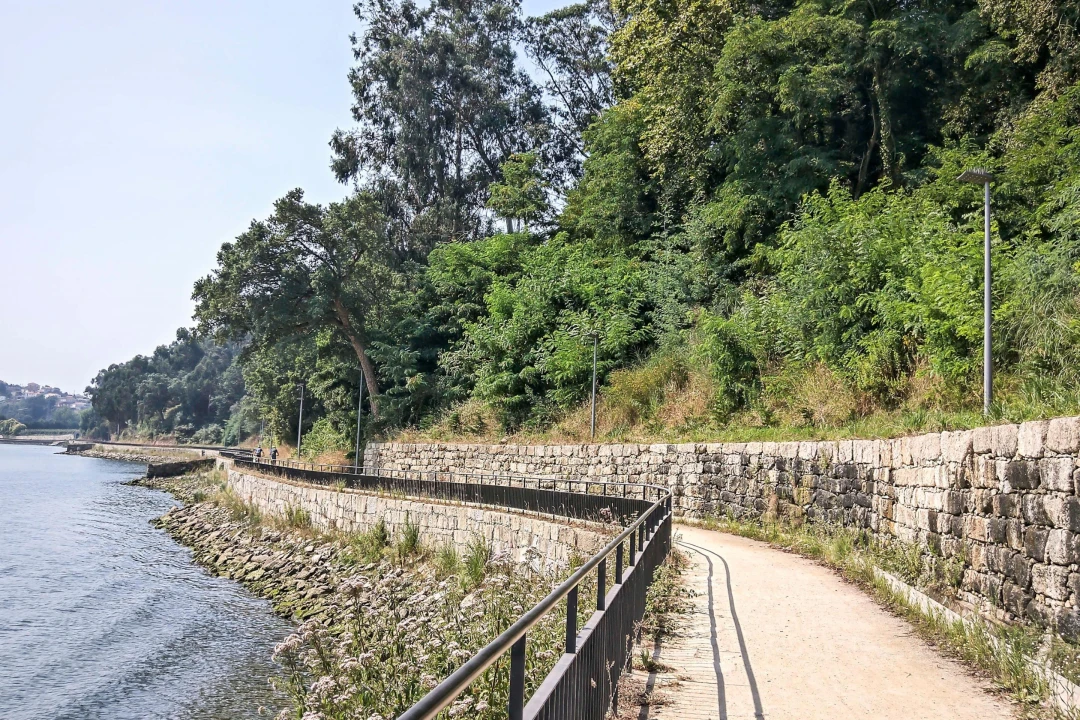 Moradia T5 para Venda em Oliveira do Douro Foto 31
