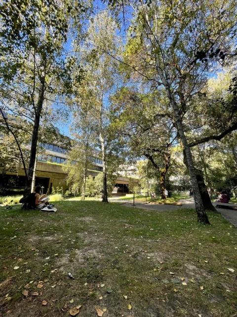 Apartamento T2 para Venda em Avenidas Novas