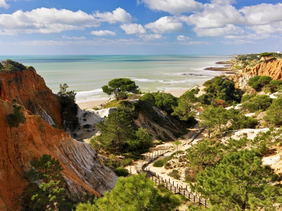 Apartamento T2 para Venda em Albufeira e Olhos de Água Foto 9