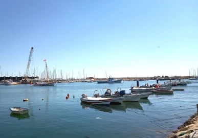 Apartamento T3 para Venda em Odiaxere