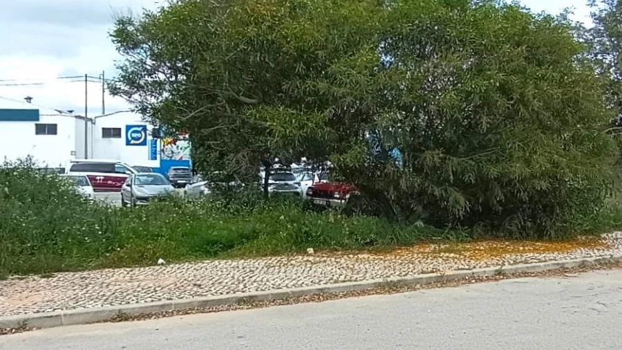 Terreno para Venda em Conceição e Estoi