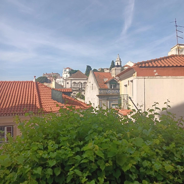 Apartamento T2 para Venda em Santa Maria Maior Foto 8