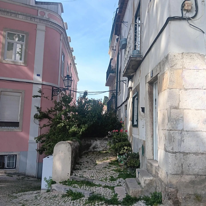 Apartamento T2 para Venda em Santa Maria Maior Foto 9