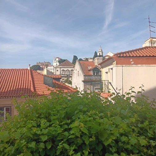 Apartamento T2 para Venda em Santa Maria Maior Foto 8
