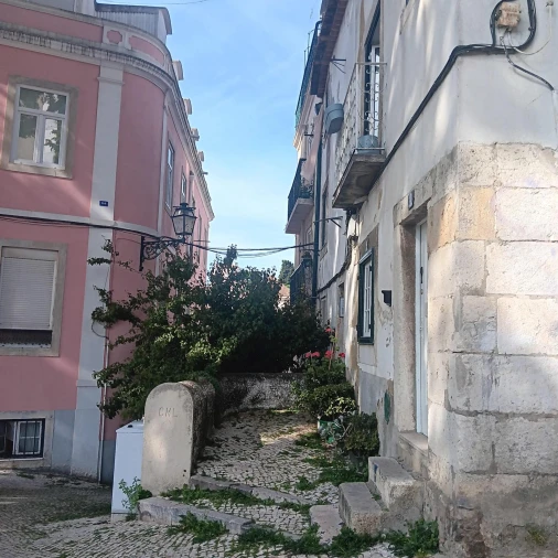 Apartamento T2 para Venda em Santa Maria Maior Foto 9