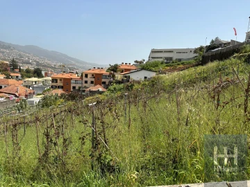 Terreno para Venda em Santo Antonio