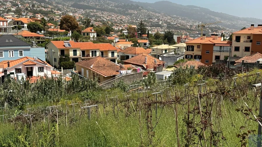 Terreno para Venda em Santo Antonio