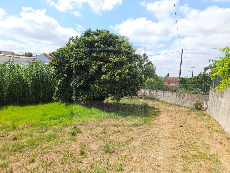 Moradia T4 para Venda em Lamas e Cercal Foto 27
